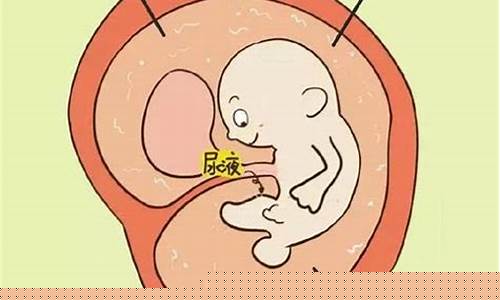 胎儿的羊水不足会带来哪些后果？